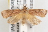  ( - 08-JWB-0078.1)  @14 [ ] CreativeCommons - Attribution (2010) Unspecified Centre for Biodiversity Genomics
