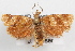 ( - 09-JBTOR-1069)  @14 [ ] CreativeCommons - Attribution (2010) Unspecified Centre for Biodiversity Genomics