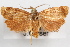  ( - 09-JBTOR-1070)  @14 [ ] CreativeCommons - Attribution (2010) Unspecified Centre for Biodiversity Genomics