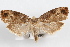  ( - 09-JBTOR-1074)  @14 [ ] CreativeCommons - Attribution (2010) Unspecified Centre for Biodiversity Genomics