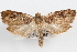  ( - 09-JBTOR-1075)  @14 [ ] CreativeCommons - Attribution (2010) Unspecified Centre for Biodiversity Genomics