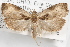  ( - 09-JBTOR-1080)  @13 [ ] CreativeCommons - Attribution (2010) Unspecified Centre for Biodiversity Genomics