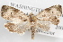  ( - 09-JBTOR-1081)  @12 [ ] CreativeCommons - Attribution (2010) Unspecified Centre for Biodiversity Genomics