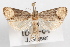 ( - 09-JBTOR-1086)  @11 [ ] CreativeCommons - Attribution (2010) Unspecified Centre for Biodiversity Genomics
