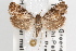  ( - 09-JBTOR-1087)  @11 [ ] CreativeCommons - Attribution (2010) Unspecified Centre for Biodiversity Genomics