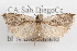  ( - 09-JBTOR-1098)  @13 [ ] CreativeCommons - Attribution (2010) Unspecified Centre for Biodiversity Genomics
