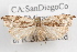  ( - 09-JBTOR-1099)  @13 [ ] CreativeCommons - Attribution (2010) Unspecified Centre for Biodiversity Genomics