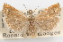  ( - 09-JBTOR-1104)  @11 [ ] CreativeCommons - Attribution (2010) Unspecified Centre for Biodiversity Genomics