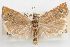  ( - 09-JBTOR-1105)  @11 [ ] CreativeCommons - Attribution (2010) Unspecified Centre for Biodiversity Genomics