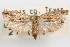  ( - 09-JBTOR-1117)  @11 [ ] CreativeCommons - Attribution (2010) Unspecified Centre for Biodiversity Genomics