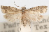  ( - 09-JBTOR-1121)  @11 [ ] CreativeCommons - Attribution (2010) Unspecified Centre for Biodiversity Genomics