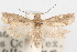 ( - 09-JBTOR-1123)  @11 [ ] CreativeCommons - Attribution (2010) Unspecified Centre for Biodiversity Genomics