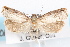  ( - 09-JBTOR-1127)  @13 [ ] CreativeCommons - Attribution (2010) Unspecified Centre for Biodiversity Genomics