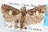  ( - 09-JBTOR-1128)  @13 [ ] CreativeCommons - Attribution (2010) Unspecified Centre for Biodiversity Genomics