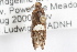  ( - 09-JBTOR-1129)  @13 [ ] CreativeCommons - Attribution (2010) Unspecified Centre for Biodiversity Genomics