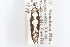  ( - 09-JBTOR-1140)  @13 [ ] CreativeCommons - Attribution (2010) Unspecified Centre for Biodiversity Genomics