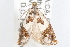  ( - 09-JBTOR-1150)  @13 [ ] CreativeCommons - Attribution (2010) Unspecified Centre for Biodiversity Genomics