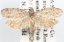  ( - 09-JBTOR-1154)  @14 [ ] CreativeCommons - Attribution (2010) Unspecified Centre for Biodiversity Genomics