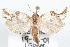  ( - 09-JBTOR-1157)  @13 [ ] CreativeCommons - Attribution (2010) Unspecified Centre for Biodiversity Genomics