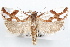  ( - 09-JBTOR-1158)  @14 [ ] CreativeCommons - Attribution (2010) Unspecified Centre for Biodiversity Genomics