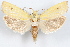  ( - 09-JBTOR-1168)  @14 [ ] CreativeCommons - Attribution (2010) Unspecified Centre for Biodiversity Genomics