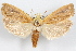  ( - 09-JBTOR-1170)  @14 [ ] CreativeCommons - Attribution (2010) Unspecified Centre for Biodiversity Genomics