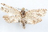  ( - 09-JBTOR-1178)  @13 [ ] CreativeCommons - Attribution (2010) Unspecified Centre for Biodiversity Genomics