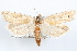  ( - 09-JBTOR-1182)  @14 [ ] CreativeCommons - Attribution (2010) Unspecified Centre for Biodiversity Genomics