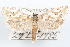  ( - 09-JBTOR-1186)  @14 [ ] CreativeCommons - Attribution (2010) Unspecified Centre for Biodiversity Genomics
