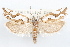  ( - 09-JBTOR-1188)  @14 [ ] CreativeCommons - Attribution (2010) Unspecified Centre for Biodiversity Genomics