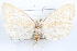  ( - 09-JBTOR-1193)  @13 [ ] CreativeCommons - Attribution (2010) Unspecified Centre for Biodiversity Genomics