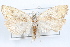 ( - 09-JBTOR-1194)  @13 [ ] CreativeCommons - Attribution (2010) Unspecified Centre for Biodiversity Genomics
