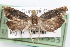  ( - 09-JBTOR-1197)  @12 [ ] CreativeCommons - Attribution (2010) Unspecified Centre for Biodiversity Genomics