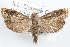  ( - 09-JBTOR-1198)  @13 [ ] CreativeCommons - Attribution (2010) Unspecified Centre for Biodiversity Genomics