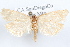  ( - 09-JBTOR-1200)  @12 [ ] CreativeCommons - Attribution (2010) Unspecified Centre for Biodiversity Genomics