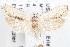  ( - 09-JBTOR-1201)  @14 [ ] CreativeCommons - Attribution (2010) Unspecified Centre for Biodiversity Genomics