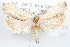  ( - 09-JBTOR-1202)  @14 [ ] CreativeCommons - Attribution (2010) Unspecified Centre for Biodiversity Genomics