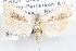  ( - 09-JBTOR-1203)  @14 [ ] CreativeCommons - Attribution (2010) Unspecified Centre for Biodiversity Genomics