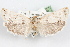  ( - 09-JBTOR-1205)  @13 [ ] CreativeCommons - Attribution (2010) Unspecified Centre for Biodiversity Genomics