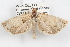  ( - 09-JBTOR-1206)  @11 [ ] CreativeCommons - Attribution (2010) Unspecified Centre for Biodiversity Genomics