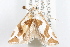  ( - 09-JBTOR-1209)  @13 [ ] CreativeCommons - Attribution (2010) Unspecified Centre for Biodiversity Genomics