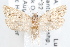  ( - 09-JBTOR-1219)  @14 [ ] CreativeCommons - Attribution (2010) Unspecified Centre for Biodiversity Genomics