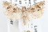  ( - 09-JBTOR-1220)  @14 [ ] CreativeCommons - Attribution (2010) Unspecified Centre for Biodiversity Genomics