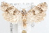  ( - 09-JBTOR-1221)  @14 [ ] CreativeCommons - Attribution (2010) Unspecified Centre for Biodiversity Genomics
