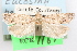  ( - 09-JBTOR-1225)  @11 [ ] CreativeCommons - Attribution (2010) Unspecified Centre for Biodiversity Genomics