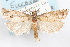  ( - 09-JBTOR-1226)  @11 [ ] CreativeCommons - Attribution (2010) Unspecified Centre for Biodiversity Genomics