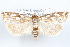  ( - 09-JBTOR-1231)  @11 [ ] CreativeCommons - Attribution (2010) Unspecified Centre for Biodiversity Genomics