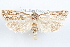  ( - 09-JBTOR-1232)  @14 [ ] CreativeCommons - Attribution (2010) Unspecified Centre for Biodiversity Genomics