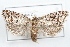  ( - 09-JBTOR-1234)  @13 [ ] CreativeCommons - Attribution (2010) Unspecified Centre for Biodiversity Genomics