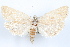  ( - 09-JBTOR-1238)  @13 [ ] CreativeCommons - Attribution (2010) Unspecified Centre for Biodiversity Genomics
